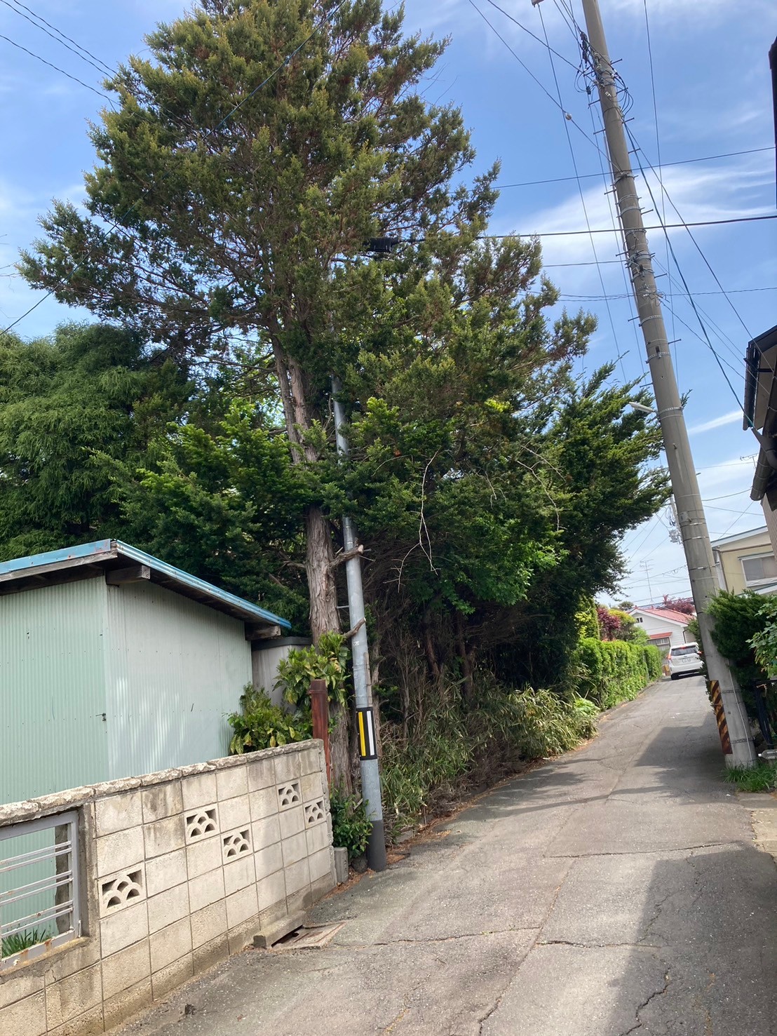 八戸市吹上3丁目 750万円｜売買土地｜株式会社 ミライズ不動産